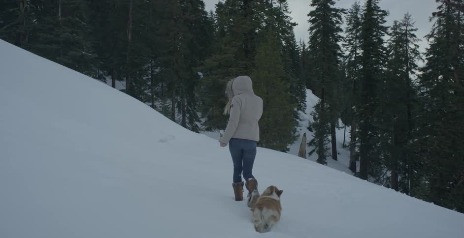 A woman walks with a dog in a snowy forest