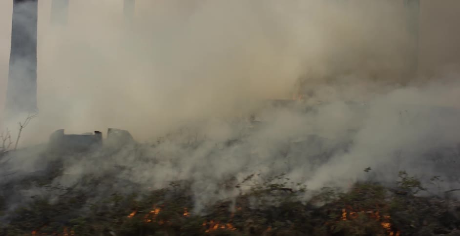 A fire burns in a forest