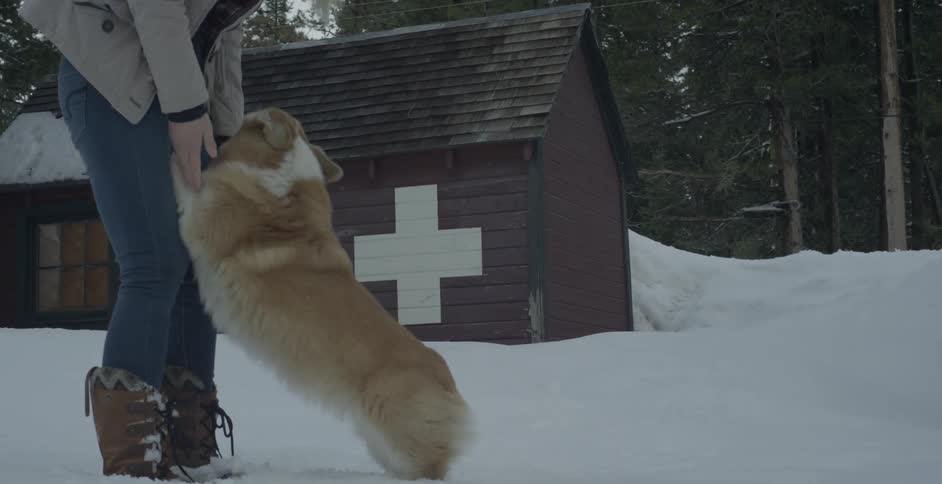 A woman plays with her dog in the snow