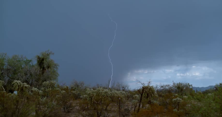 A lightning bolt hits the forest ahead