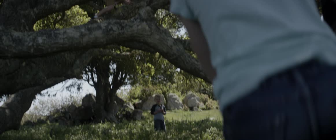 A boy and girl climb a tree