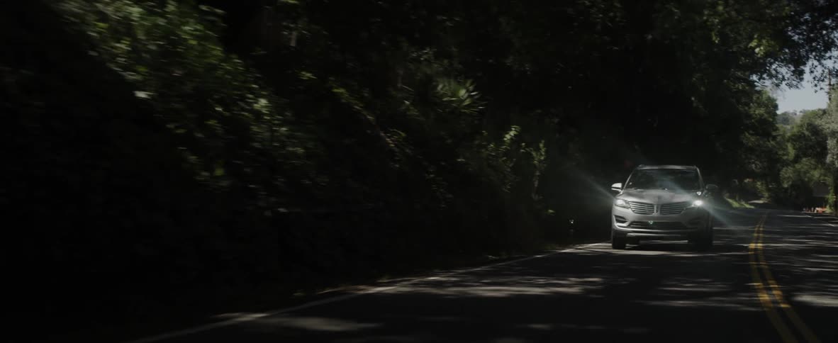 A car drives on a tree lined road