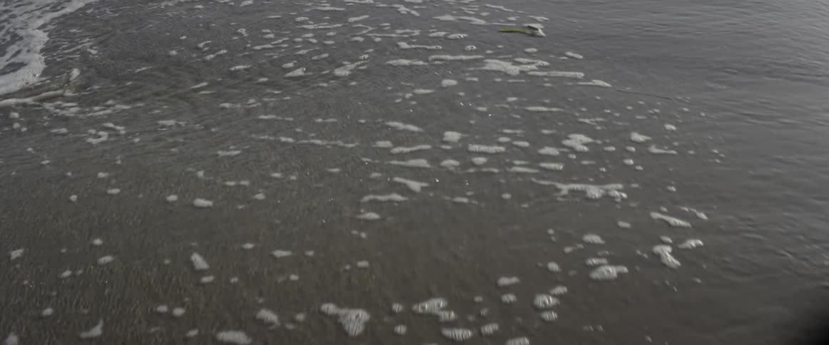 Ocean waves wash ashore a sandy beach