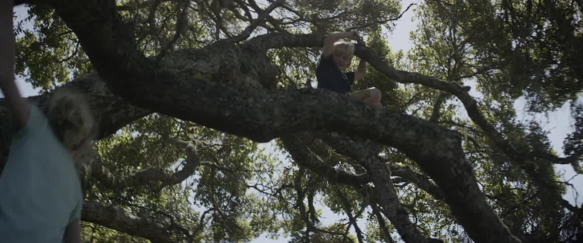 A boy sits in a tree while a girl runs beneath him