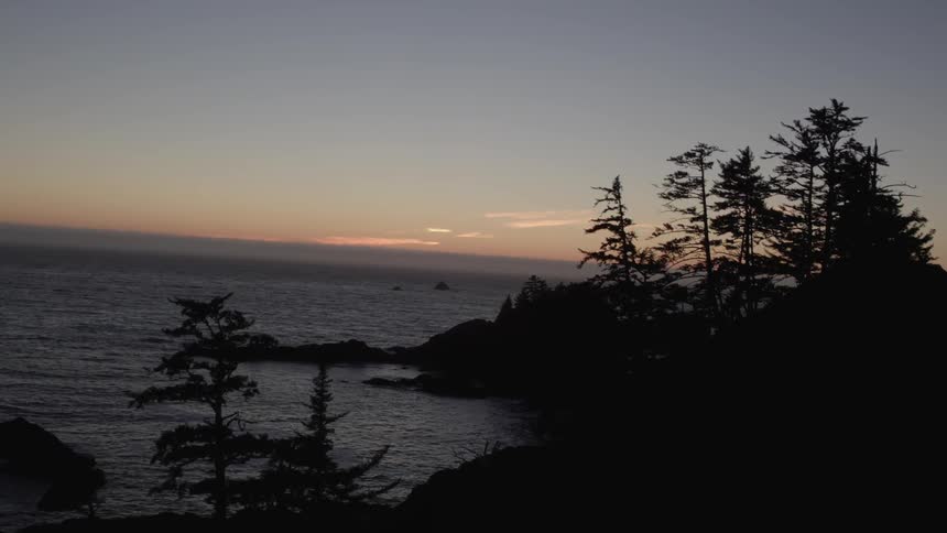 The sun set behind trees and the ocean