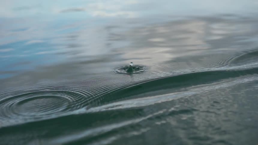 Water drops on a lake surface