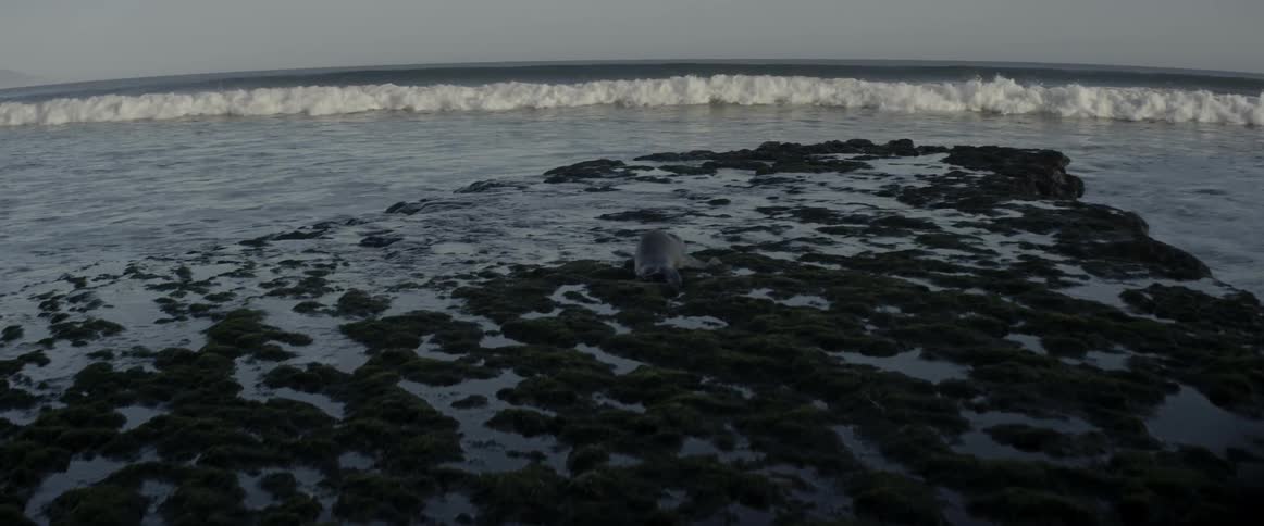 The waves crash against the rocks on the shore
