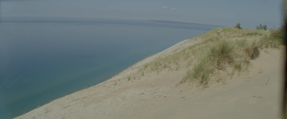 Grass grows on a sandy beach