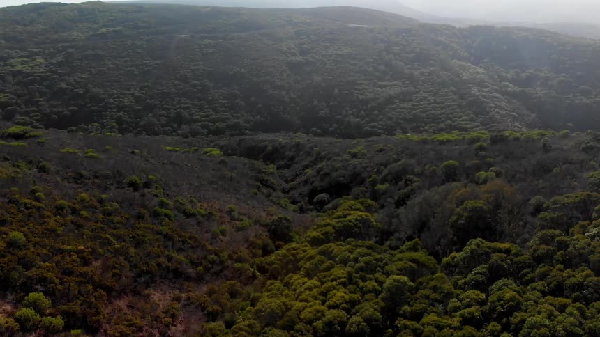 A very large landscape with tree covered hills and a foggy sky