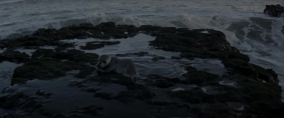 Ocean waves crash into rocks