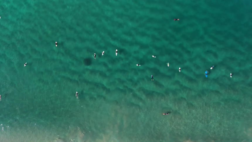 Surfers float on the ocean
