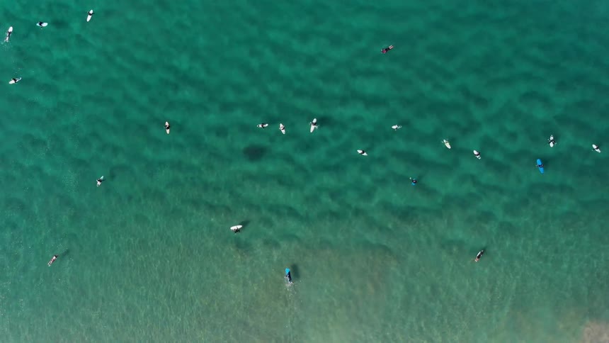 Surfers float on the ocean