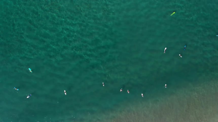 Surfers float on the ocean