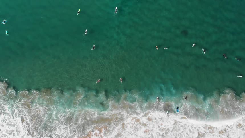 The surfers are moving out into the water together