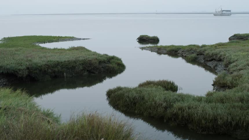 The water is calm near the green shore