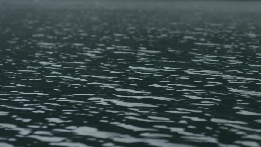 Light shimmers on the surface of the lake