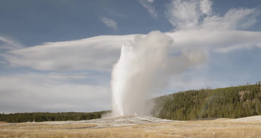 A geyser explodes near pine trees