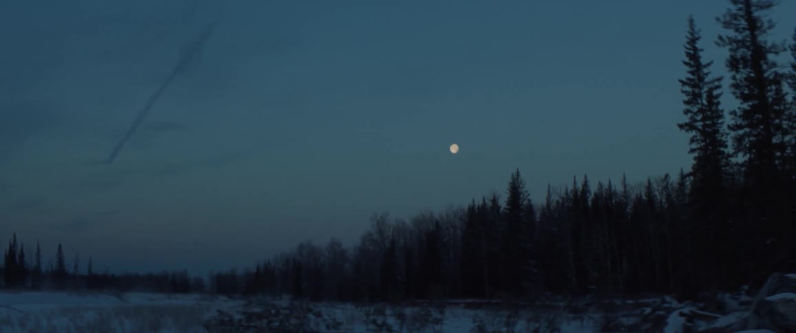 The moon is high in the sky above the forest