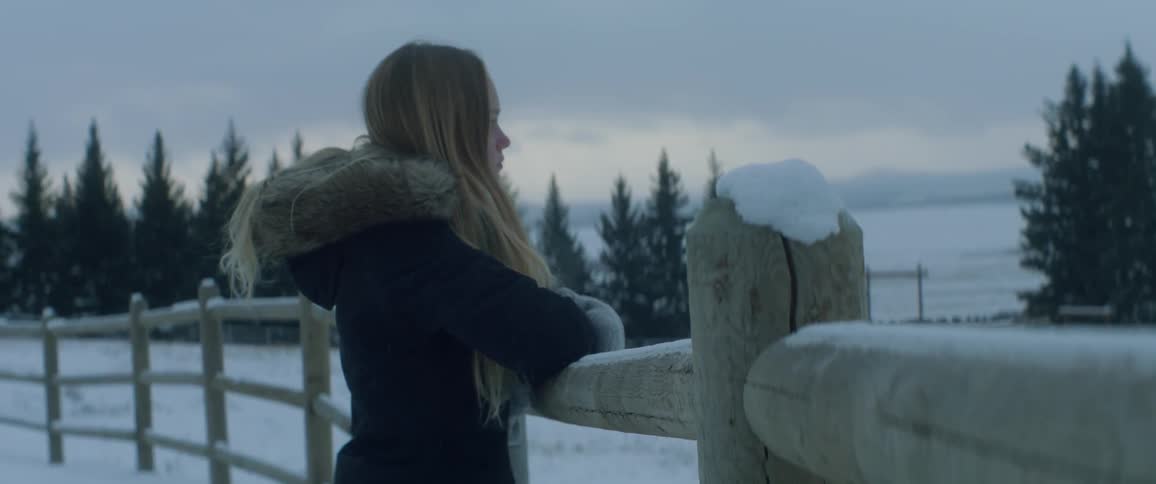 A woman leans on a snow covered fence