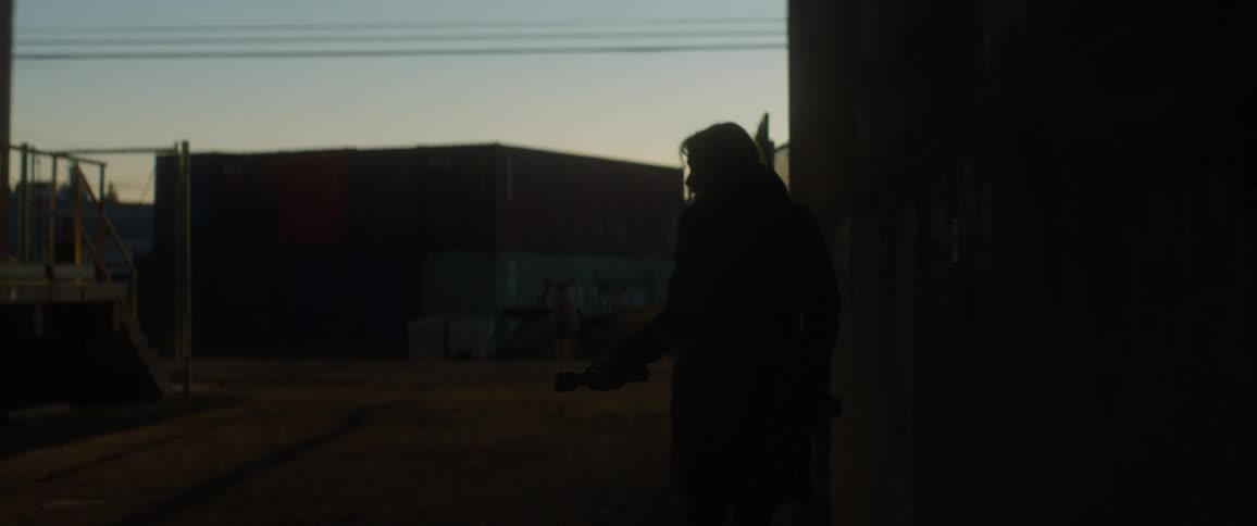 A woman is searching an area near train tracks at dusk