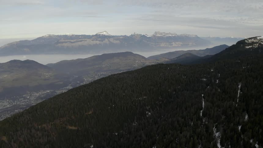 Trees cover the mountainside