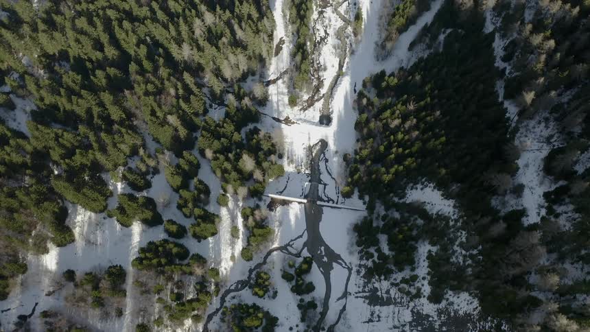 A stream is running through the woods below