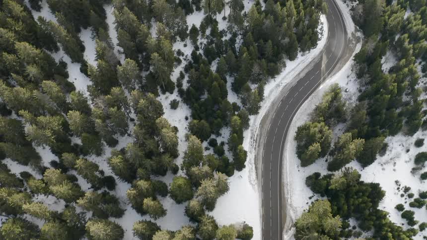 A road winds through a snowy forest
