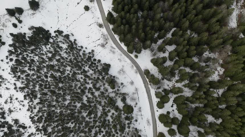 A road winds through the trees and snow