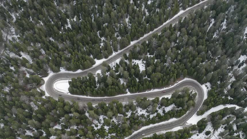 The road winds around the large forest