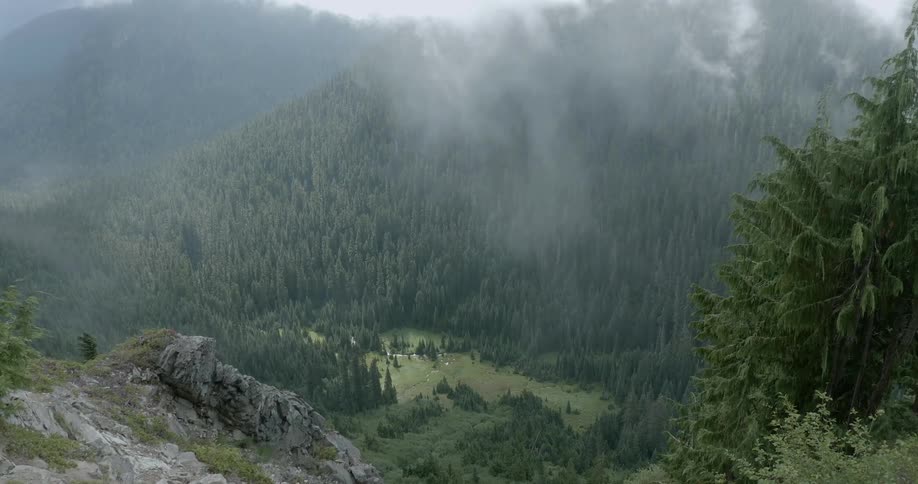 Fog billows over hills and trees