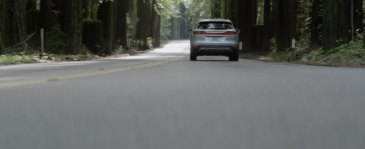 A car drives on a forest road