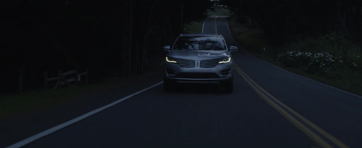 Car drives down a country road lined with trees