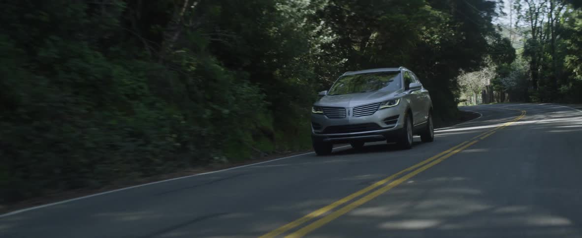 Vehicle drives down a tree lined country road
