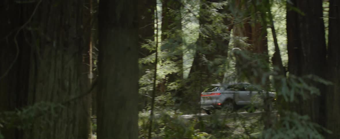 Car drives through tree shaded road