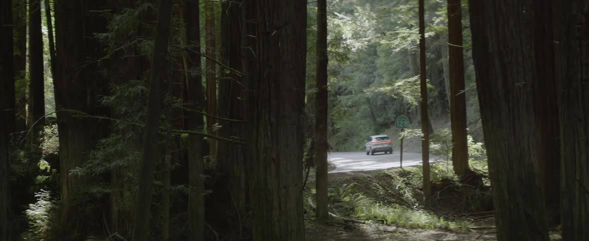 An suv drives through the forest