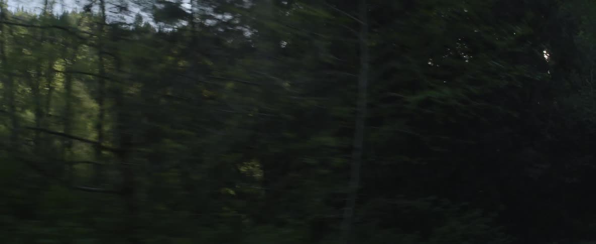 A vehicle drives on a rural road