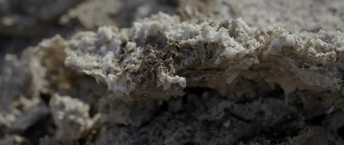 Mineral deposits are covering a surface in daylight