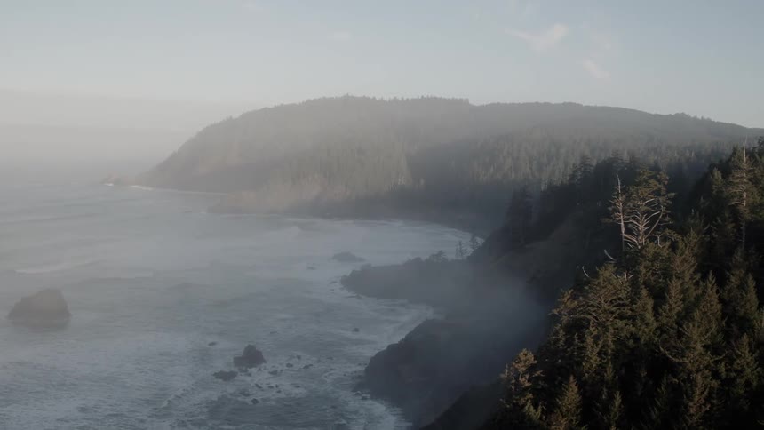 Mist floats above a beach