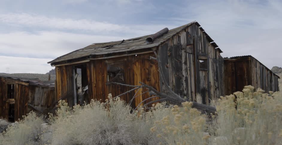 A dilapidated wooden shed surrounded by bushes