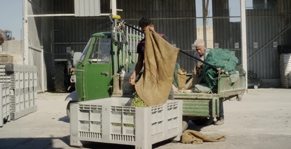 Man unloads a sack into a large crate