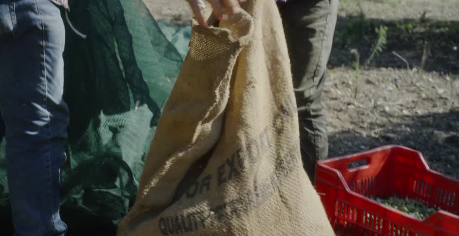 Two people are filling a bag on a farm