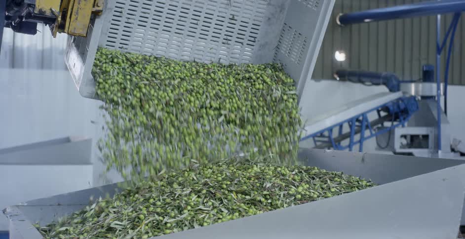 Machine pours grains into bin
