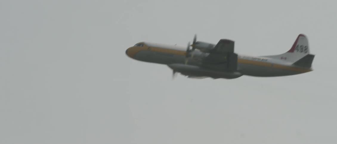 An airplane flies over trees