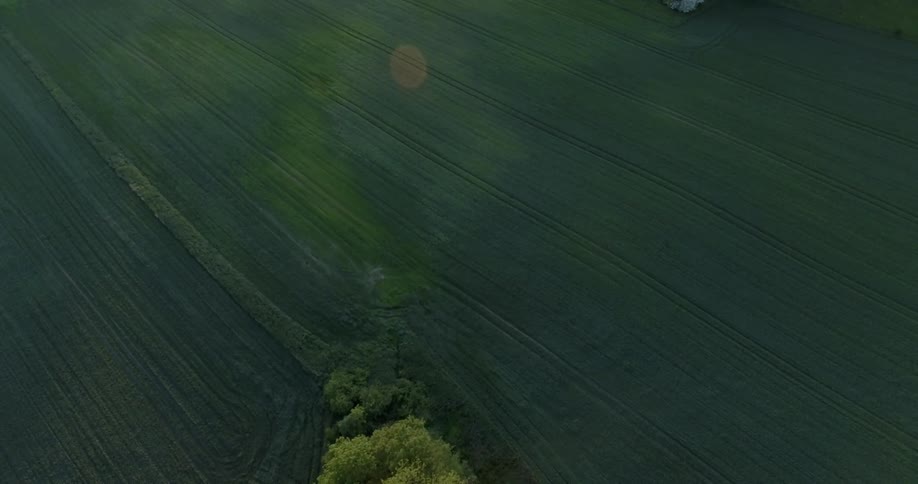 The sun shines on open grass and farmland fields