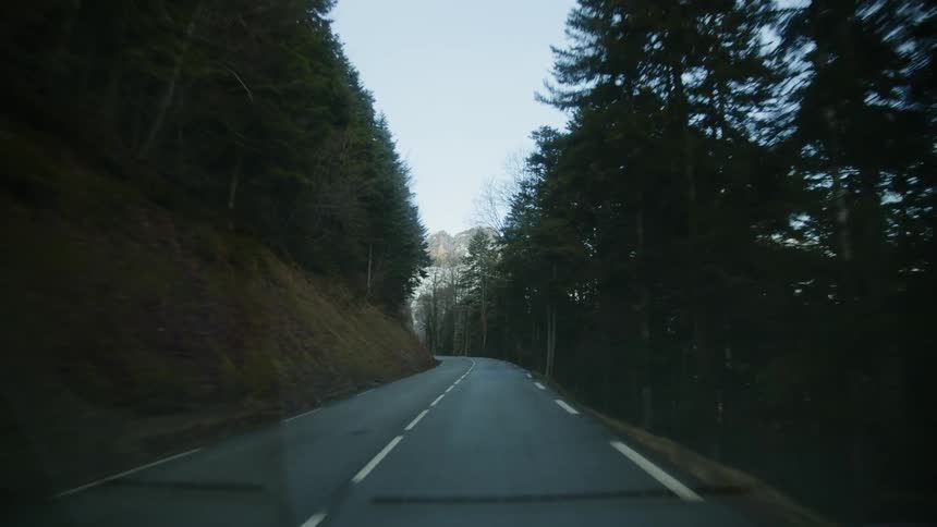 Tree lined country road on a clear day