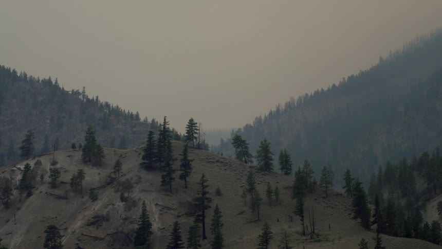 Tree covered mountains on a cloudy day