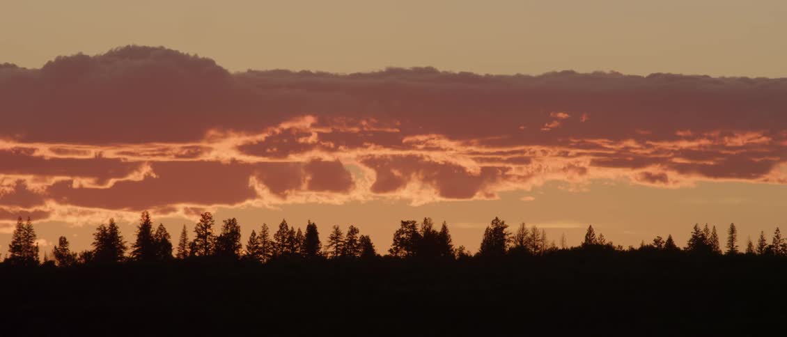 Clouds over the treetops at sunset