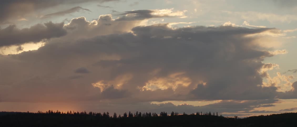 Sun sets on a cloudy day over trees