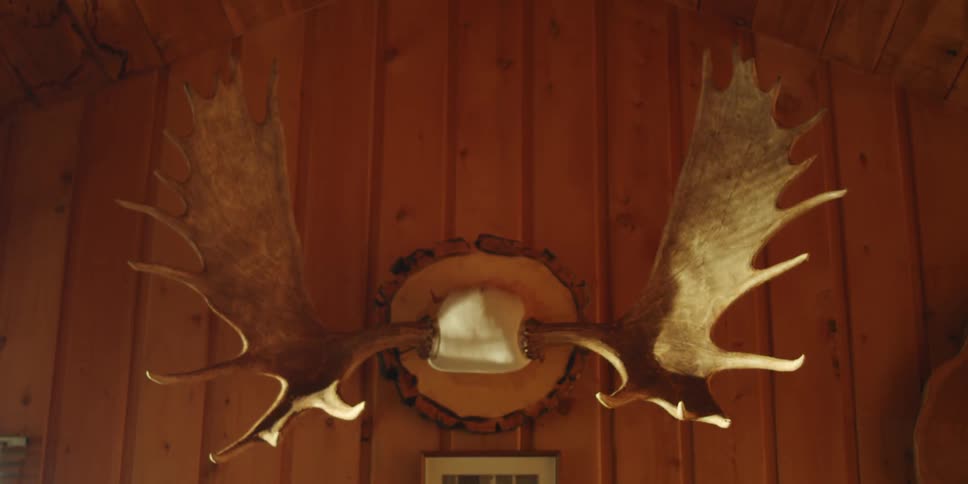 Moose antlers hanging on a wall