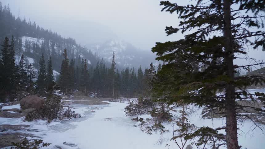Snow falls in a mountain forest